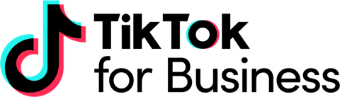 TikTok for Business partner